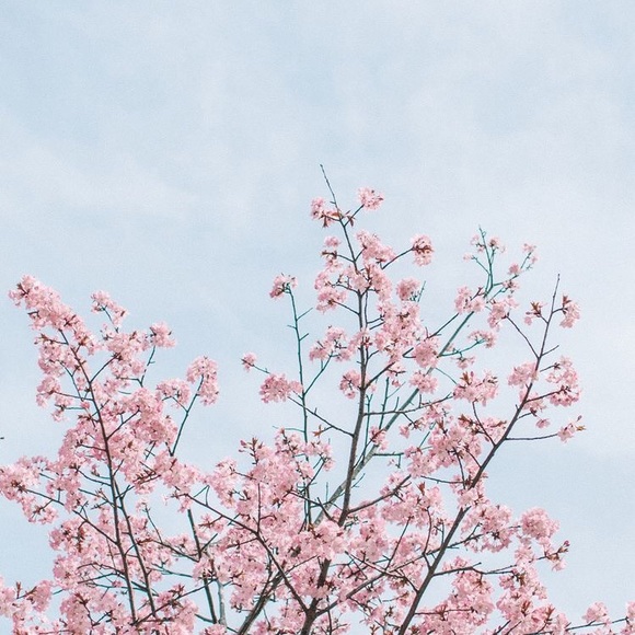 Meet your Posher, Annie - Picture 1 of 1